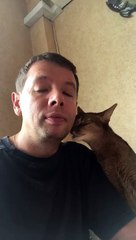 Un chat vs Une cuisse de poulet !