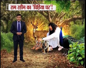 क्या सिप्ला शेट्टी और राम रहीम के बीच थी कोई बिजिनेस डील ?