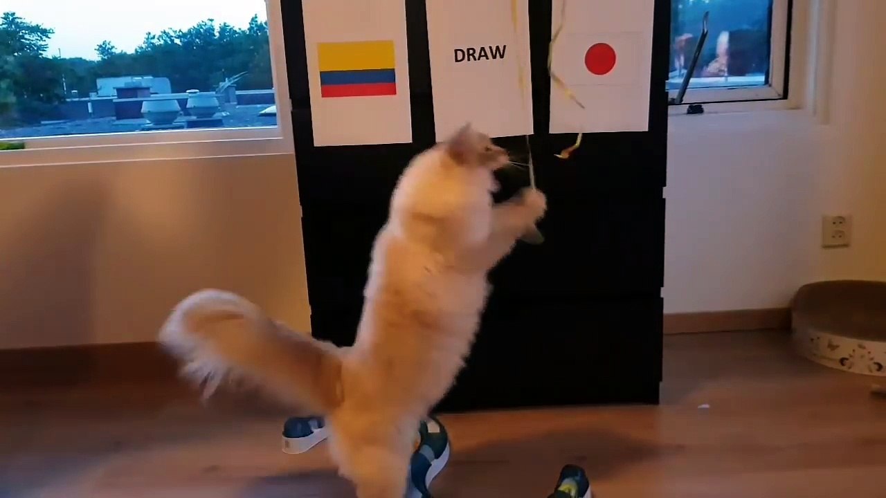 Colombia vs Japan Prediction World Cup 2018