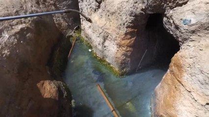 Gaziantep'te Sinek ve Haşereye Karşı 120 Kişilik İlaçlama Ekibi