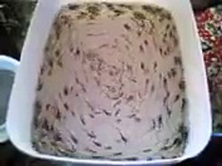 Ikan bergerak mengikut pusingan tawaf selepas mendengar talbiah.... Mohon SHARE.