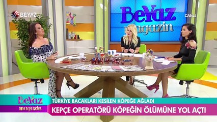 Türkiye, bacakları kesilen köpeğe ağladı