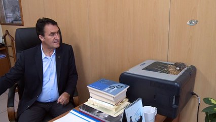 Makam odasını mesken tutan kumruların yavruları dünyaya geldi