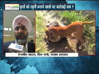 देखिये क्यों  तेज़ी से बढ़ रहा है 'डॉग-फाइट' का चलन