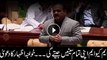 Khawaja Izhar says MQM-P will emerge victorious in all constituencies