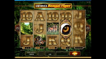 Обзор игрового аппарата  Неукрощенный Тигр (untamed bengal tiger) - характеристики и правила