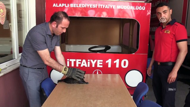 İtfaiyeden yavru kediye ikinci hayat - ZONGULDAK