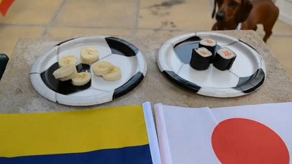 Fußball-WM, auf den Hund gekommen