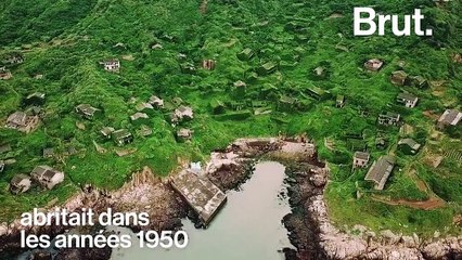 Au village de Houwatan, la nature a repris ses droits de manière impressionnante