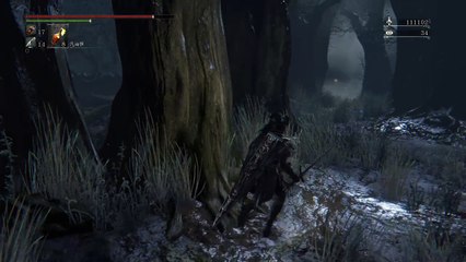Bloodborne™ The Old Hunters Edition_嘔心