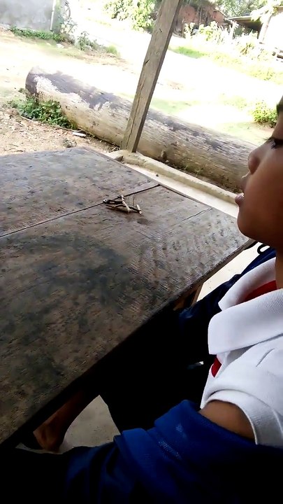 Mortal Kombat en bois (Thaïlande)