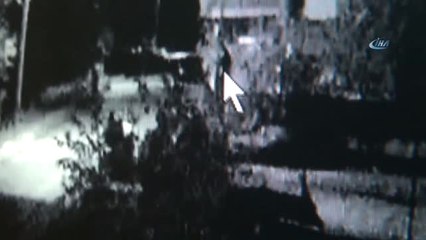 Kuruması İçin Asılan Halıları Böyle Çaldılar