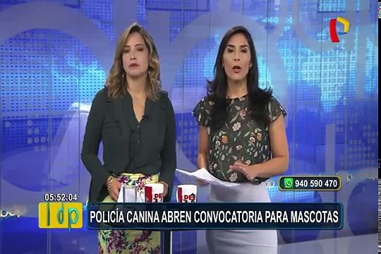 Transportistas acatan paro en Lima y Callao