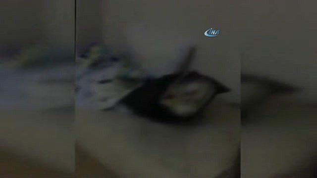 Cezaevi Firarisi Evinde El Yapımı Patlayıcı ve Uzun Namlulu Silahla Yakalandı