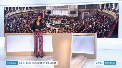 Politique : la loi asile-immigration au Sénat