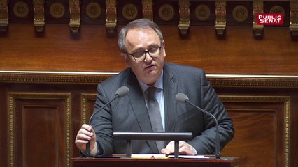 Jean-Yves Leconte (PS) : « Monsieur Macron n’est qu’un Viktor Orban en bas de soie »