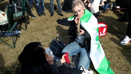 Canadá a caminho da legalização da maconha