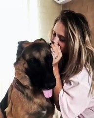 Большой секретик!