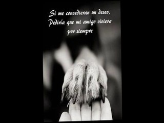 LA MUESTRA DE AMOR ENTRE ANIMALITOS MAS GRANDE DEL MUNDO | OSCAR JACK