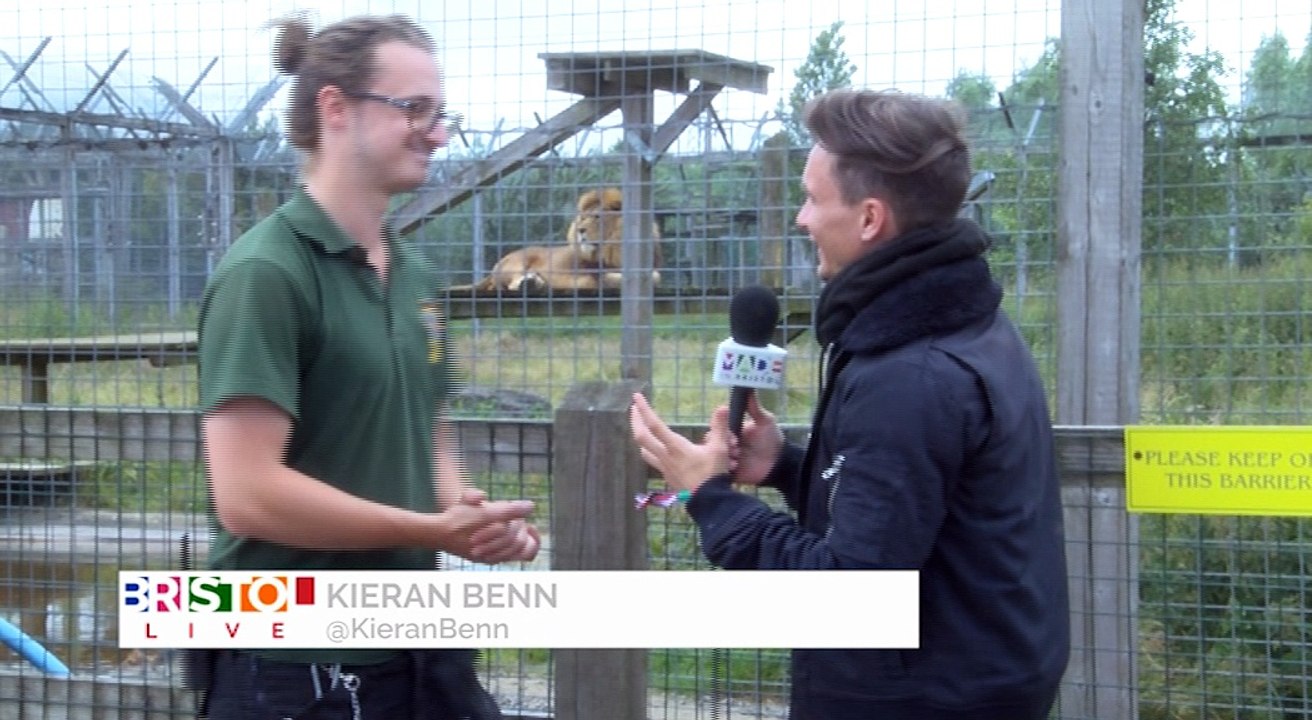 Meeting the Lions at Noahs Ark