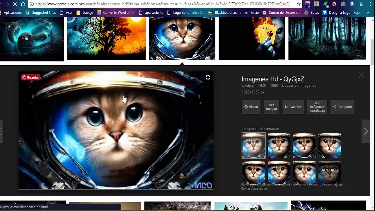 DAILYMOTION OTRA FORMA DE MONETIZAR VIDEOS.
