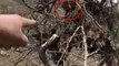 Mehmetçik, PKK'lı Teröristlerin Ağaç Dallarında Yaptığı Gözetleme Kulelerini Deşifre Etti