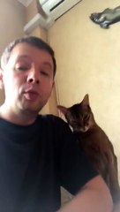 Hilarant : ce chat est prêt à tout pour avoir du poulet