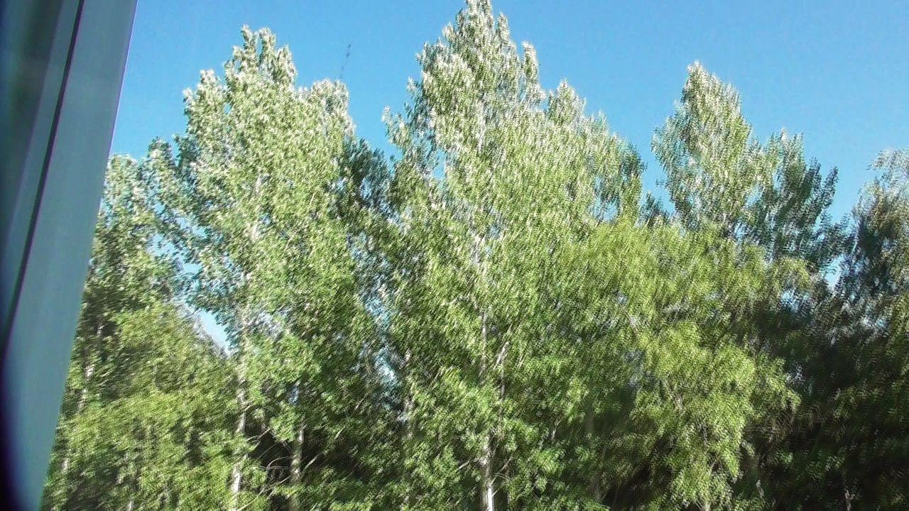 June 19 2018 DL8