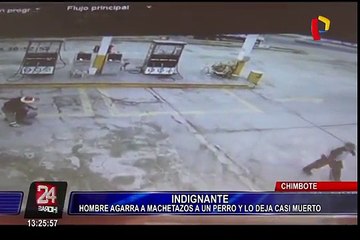 Chimbote: hombre ataca con machete a un perro en grifo