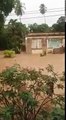 Barbados on Friday morning as Tropical Storm Harvey hits