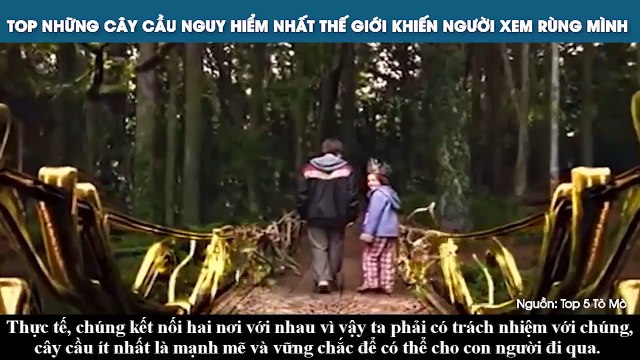 TOP NHỮNG CÂY CẦU NGUY HIỂM NHẤT THẾ GIỚI KHIẾN NGƯỜI XEM RÙNG MÌNH