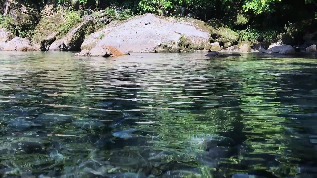 Moto Explore Mexico Tour—Day 6, The Watering Hole