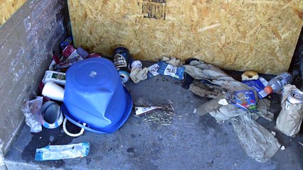 18| Catholic Hobo Pilgrimage,  Saint Louis and shower in the Mississippi