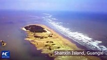 Shanxin Island in China's Guangxi is a beautiful rest-stop for 30,000 birds, including critically endangered species that migrate between east Asia and Australi