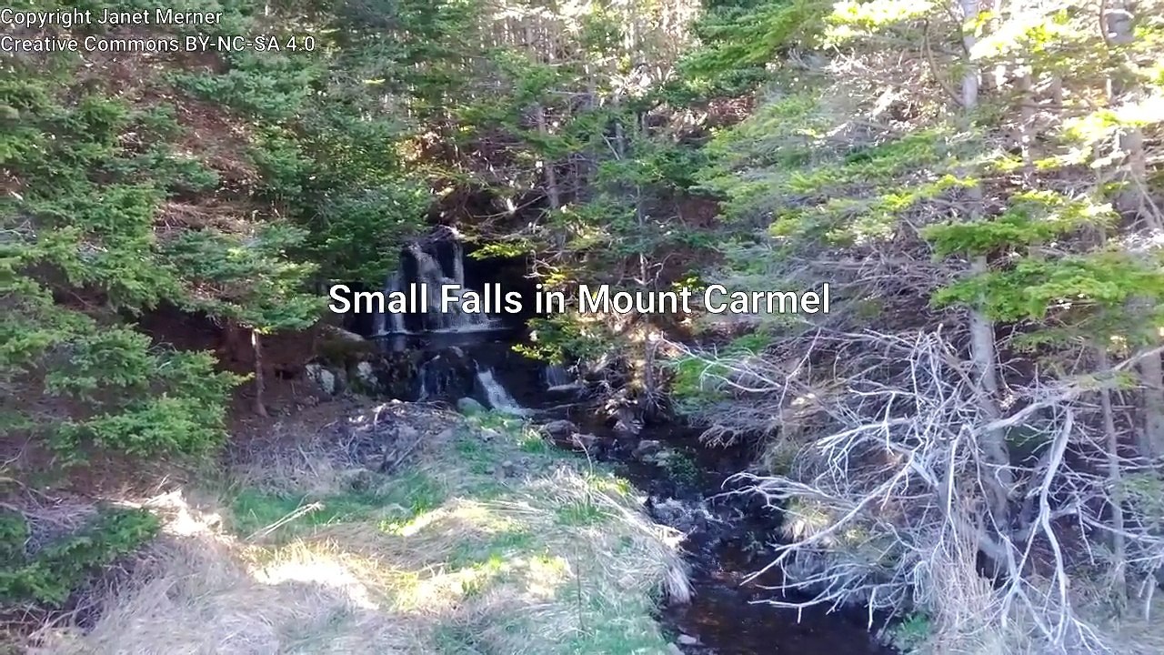 Small Falls in Mount Carmel