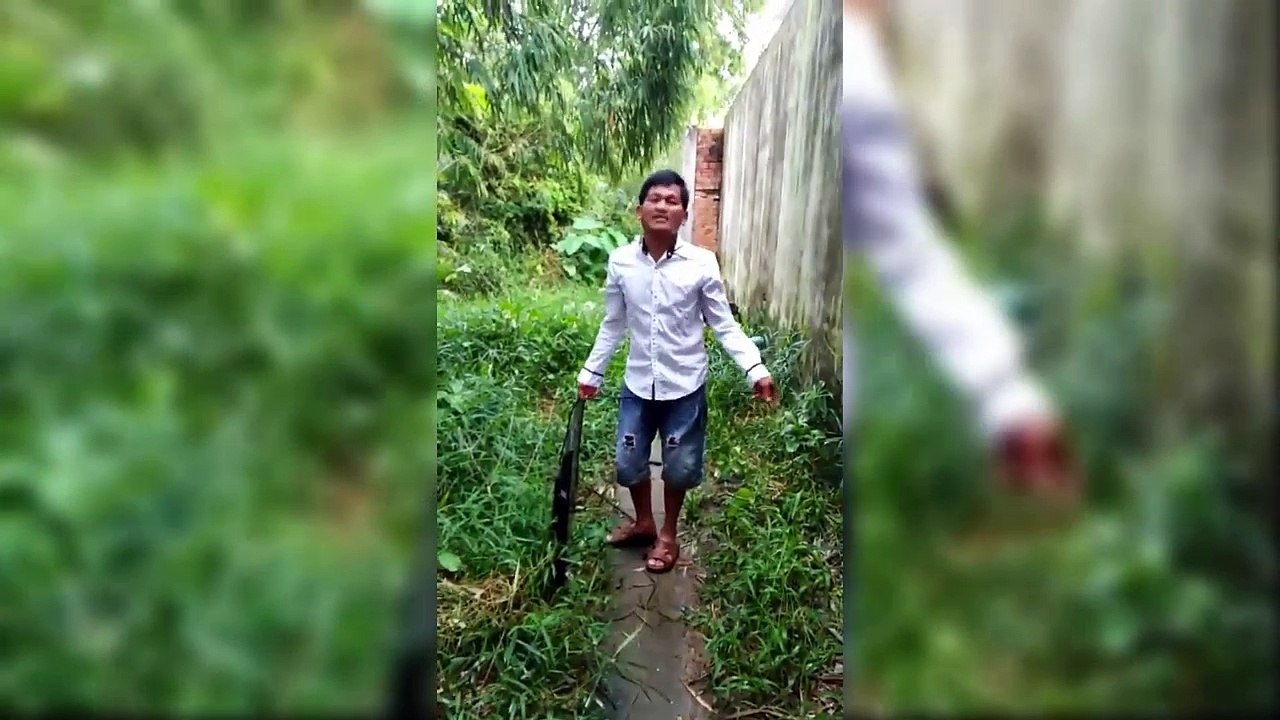 bong da