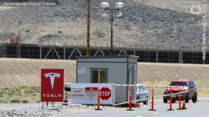 Elon Musk Says Employee Apprehended Sabotaging Code & Sharing Sensitive Info