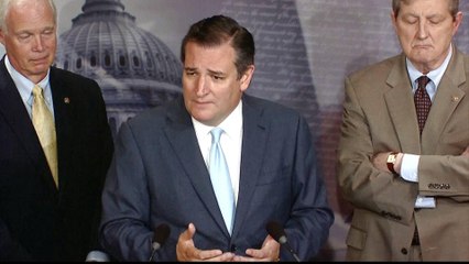Republican senators urge Trump to end 'zero tolerance' policy