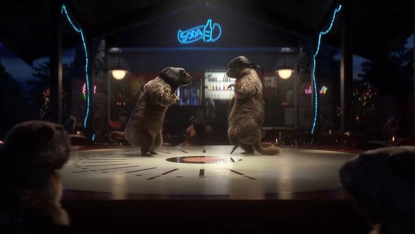Les marmottes