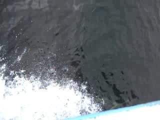 Bretagne 07.2007 053