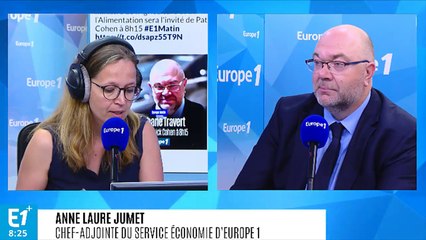 Aides aux agriculteurs bio : "2018 sera l'année où l'on reviendra au calendrier normal de versement", assure Travert