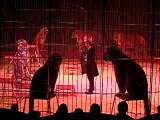 08 décembre 2007 - Cirque, les tigres