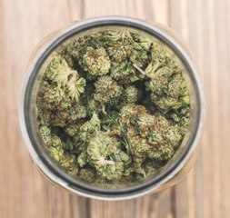 Le Canada légalise la marijuana à des fins récréatives