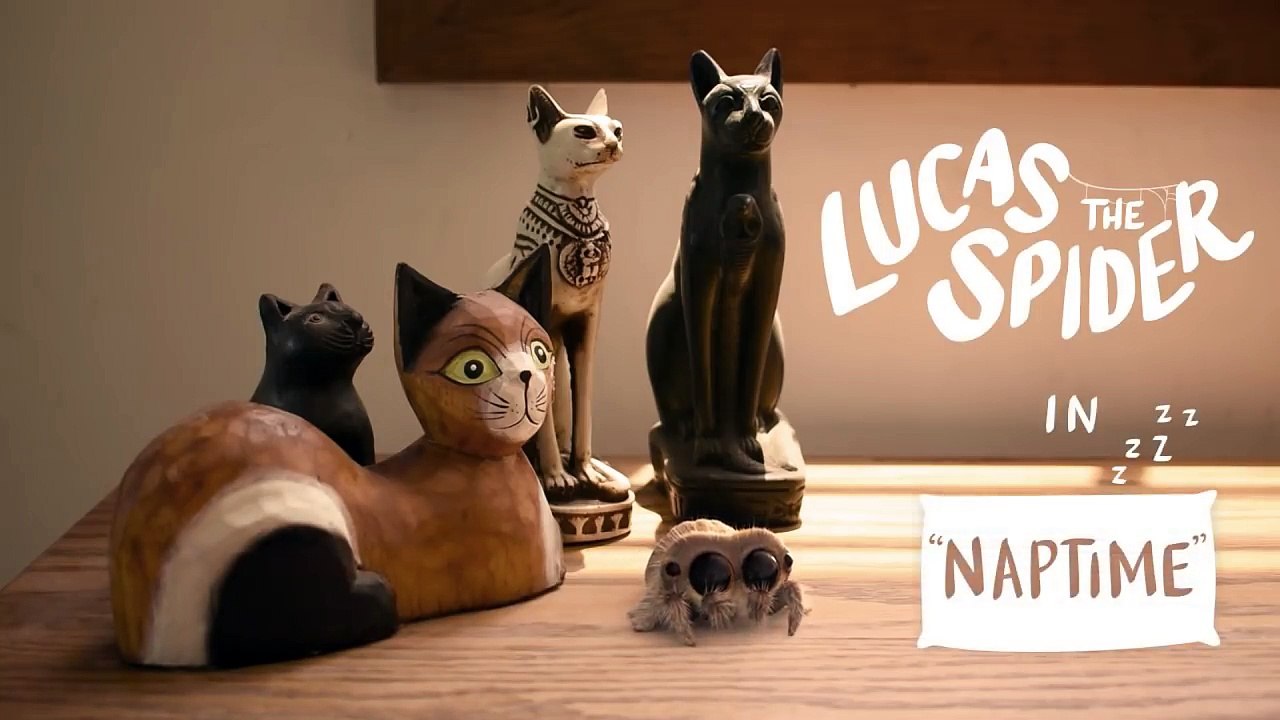 Lucas the Spider - Naptime