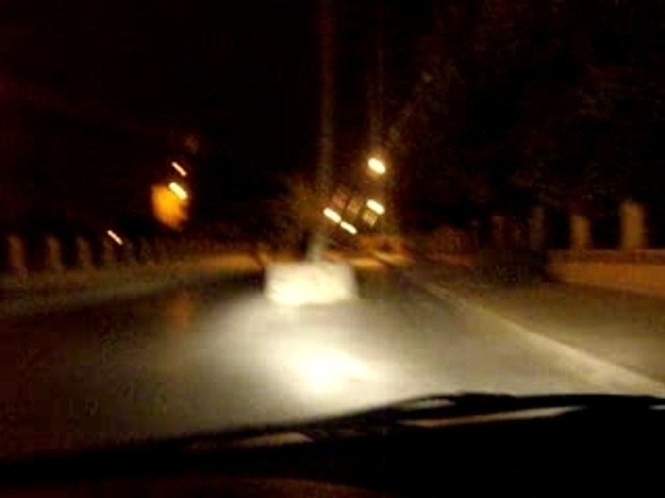 palmier sur la route marackech