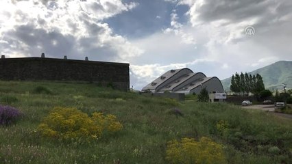 Baksı Müzesi Bu Yıl da Farklı Projelere İmza Atacak