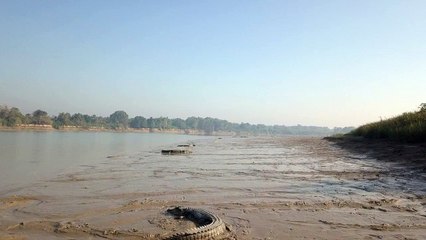 Crocodiles Soaking up Some Sun