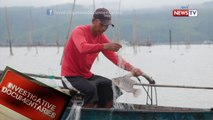 Investigative Documentaries: Mga isdang nahuhuli sa Talim Island, bumababa na