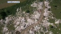 Partout en France, les décharges à ciel ouvert pullulent - notre reportage 