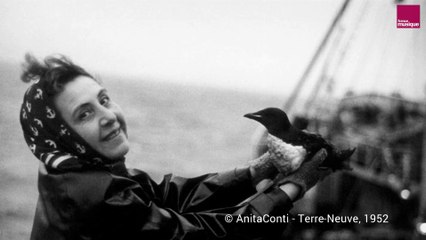 Sélection d’une partie des photographies diffusées sur la musique "Anita" de Benoît Menut - HIRES